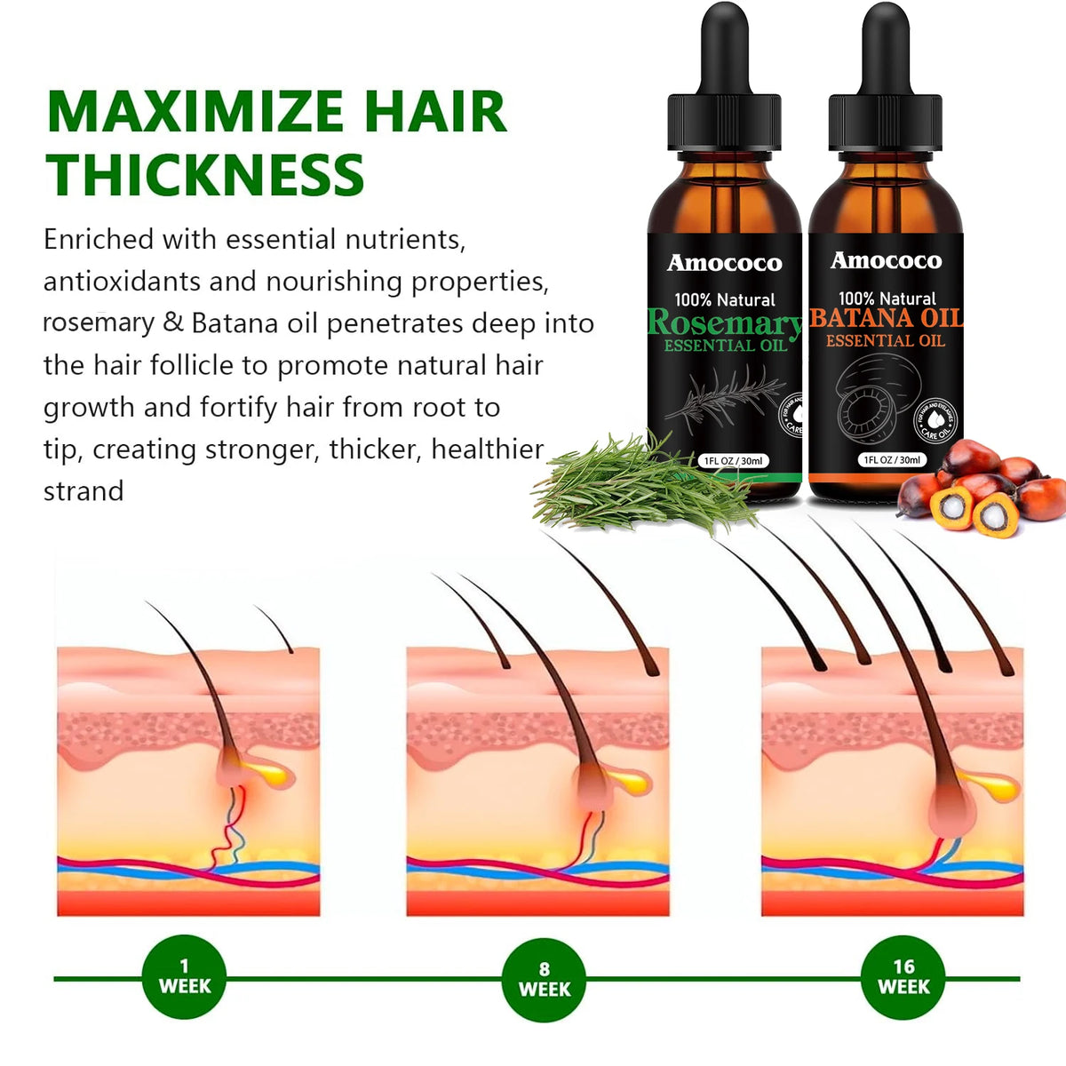 Amococo Rosemary Batana Hair Oil Duo For Dry Frizzy Hair