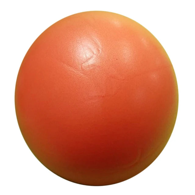 Professional Yoga Exercise Ball For Pilates And Fitness Training